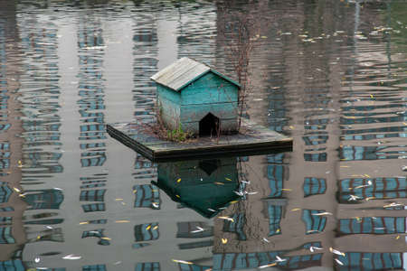 Old green duck house in a city lakeの写真素材