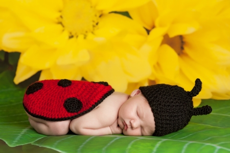 8 day old newborn girl wearing a black and red crocheted ladybug costume and sleeping on the leaf of a yellow flowerの写真素材