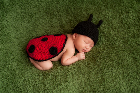Eight day old newborn girl wearing a black and red crocheted ladybug costume sleeping on a green plush blanket の写真素材