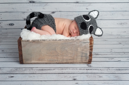 Five day old newborn baby boy wearing a gray crocheted raccoon costume and sleeping in a vintage wooden crate  Shot in the studio on a bleached wood background の写真素材