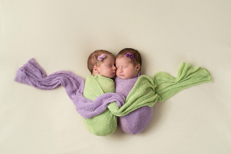 Fraternal twin newborn baby girls swaddled together in light green and lavender stretch wrap material.の写真素材