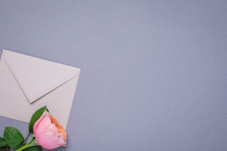 Gray wallpaper with gift envelope and pink rose top viewの写真素材