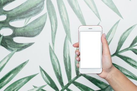Female hands hold mobile phone with white screen on a tropical backgroundの写真素材