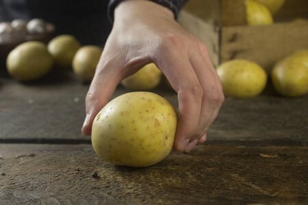 Man takes fresh potatoes from rustic wooden table side viewの写真素材