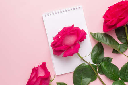 Notebook and dark pink rose on a pink backgroundの写真素材