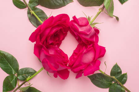 Roses flowers on a pink pastel background, festive postcard with a frame top viewの写真素材