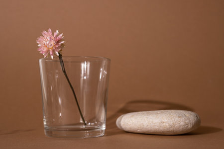 Dry pink flower and stone with dark shadow on a light brown background. Trend, minimal concept with copyspace side viewの写真素材