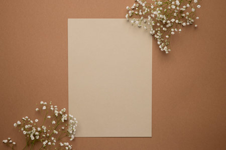 Dry flower branch on a light and dark brown background. Trend, minimal concept with copyspace for text top viewの写真素材