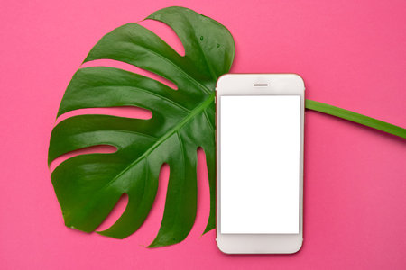 Mobile phone with blank screen and tropical leaves monstera on on neon pink background. copy space,...