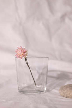 Vase of pink dry flower on table with white fabric background, concept still life , trend natural colorsの写真素材