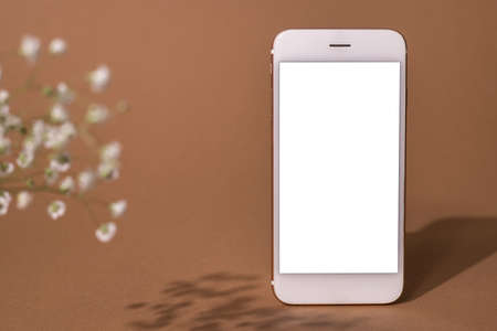 Smart phone with blank screen in vintage romantic flat lay decor frame of dried flowers on brown backgroundの写真素材