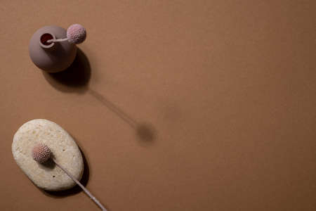 Dried twigs with pink flowers and stone isolated on brown background. Copy space for your text or images, natural colorsの写真素材