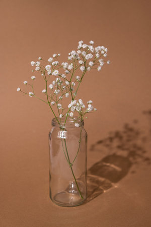 Cozy autumn home still life of dry flowers in vase on brown background and shadows on the wall from the bright sunの写真素材