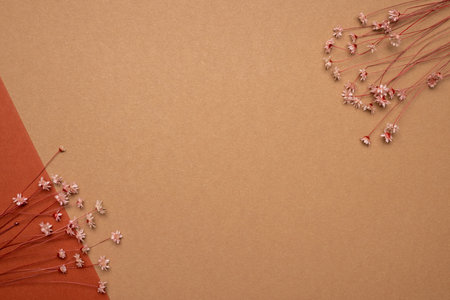 Brown background with dried flowers . Natural colors, trend concept with copy space