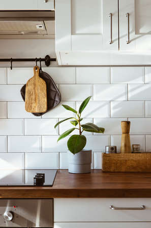 Kitchen brass utensils, chef accessories. Hanging kitchen with white tiles wall and wood tabletop.Green plant on kitchen background early morning light verticalの写真素材