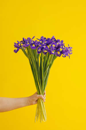 Hand holds bouquet of blue irises on yellow background. Birthday, March 8 Women's Day, love and congratulatory concept. vertical side viewの写真素材