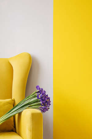Bouquet of blue irises on yellow chair background. Birthday, March 8 Womens Day, love and congratulatory concept. with copy space for textの写真素材