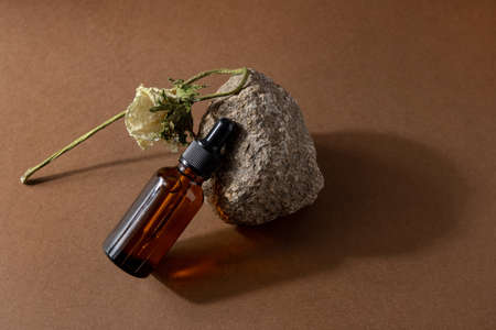 Brown glass bottle of cosmetic product or oil on stone on beige brown paper background. Natura Spa Cosmetic Beauty concept with hard shadowsの写真素材