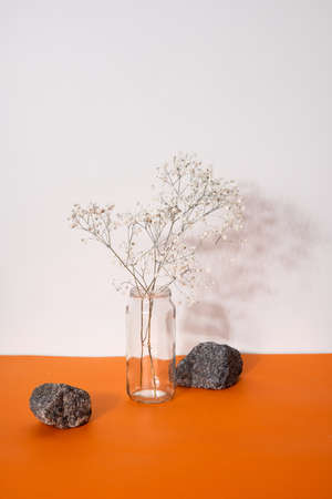 Decoration concept - still life of dried flowers in vases with hard shadows.Minimalist composition side view verticalの写真素材