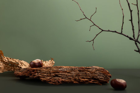 Natural background podium for cosmetic products created from wood, bark and paper on green...