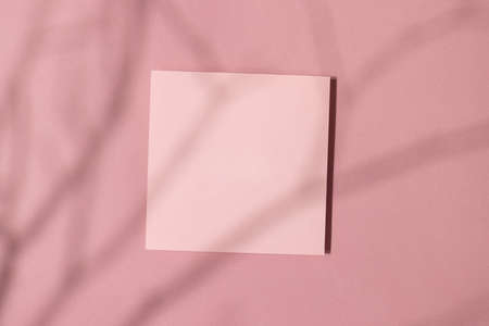 Paper background pink color, architectural drawing. blurred background. abstract shadow background. For design templates, as a canvas for text, advertising.の写真素材
