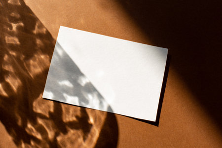 Still life scene with hard shadows on brown background in sunlight glass and blank business, greeting card, invitation mockup. Long harsh shadows. New naturalismの写真素材