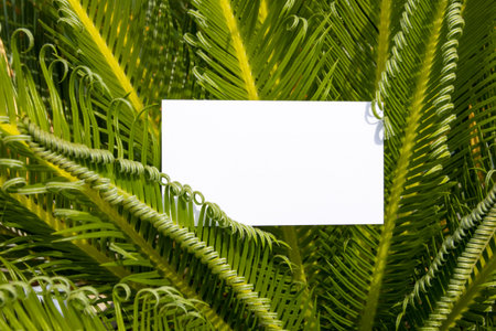 Flat card on leaves outside for web background design. White isolated background. Abstract landscape...