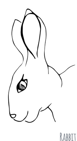Sketch of a rabbit. Vector illustrationのイラスト素材