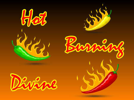 Illustration red, green and yellow burning hot mexican peppers with fire and burning. Inscription Hot Burning Divine. For cooking, websites, blogs, advertising, kitchen. Vector horizontal orientationのイラスト素材