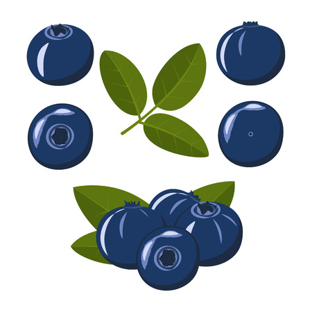 Bilberry. Blue berries of blueberries with green leaves on a white background. Set of icons. Vector illustration.のイラスト素材