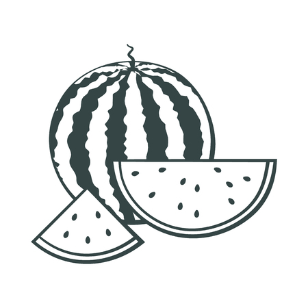 A whole outline watermelon and a cut pieces. Icon. Design for a label, poster, banner. Vector illustration.のイラスト素材