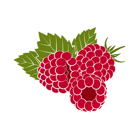 Red raspberries with green leaves closeup on a white background. Design for a label, banner, poster. Vector illustration.のイラスト素材