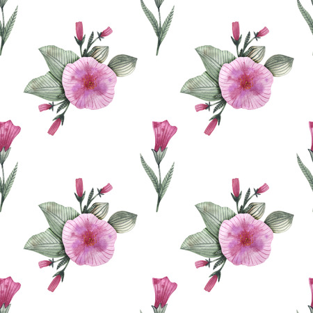 Garden flowers of petunia with buds and leavesの写真素材