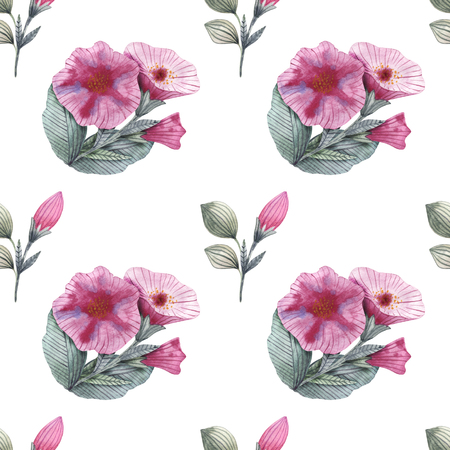 Garden flowers of petunia with buds and leavesの写真素材