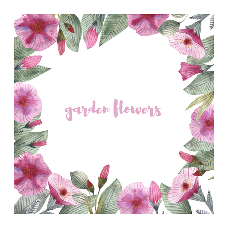 Garden flowers of petunia with buds and leavesの写真素材