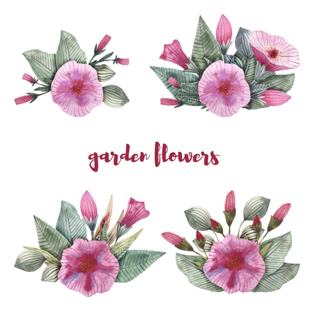 Garden flowers of petunia with buds and leavesの写真素材
