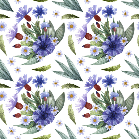 A collection of herbs and flowers. Chamomile, plantain, cornflowers. Watercolor.の写真素材