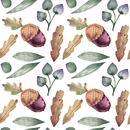 seamless pattern of autumn oak leaves, acorns and berriesの写真素材