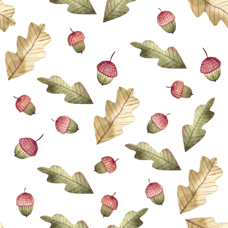 Structure of watercolor autumn oak leaves and acorns. Each of them is separate. Each leaf is separated.の写真素材