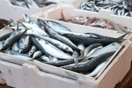 Fresh sardines