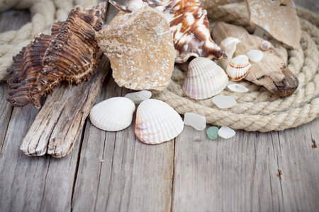 Sea life background