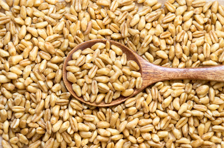 Raw organic spelt  with a spoon close up