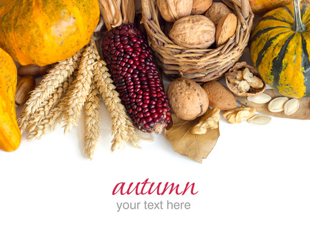 Harvest background with corn, pumpkins, leaves and nutsの写真素材