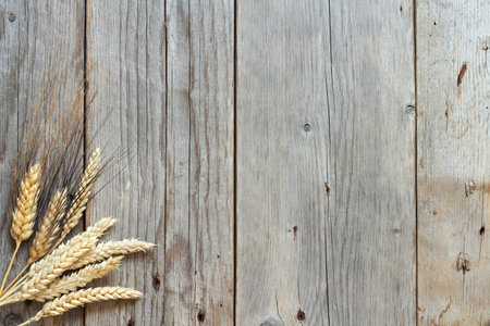 Wheat and spelt on an old wooden background