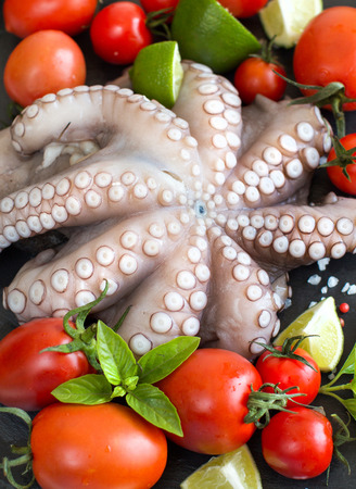 Raw octopus with lime, tomatoes and basil over dark backgroundの写真素材