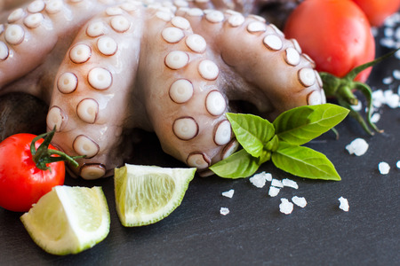 Raw octopus with lime, tomatoes and basil over dark backgroundの写真素材