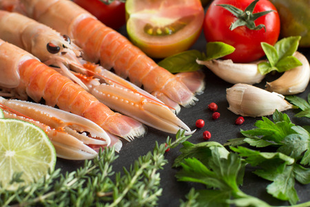 Raw langoustines with vegetables and herbs on the dark backgroundの写真素材