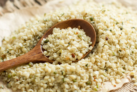 Pile of Uncooked Hemp seeds with a spoon close upの写真素材
