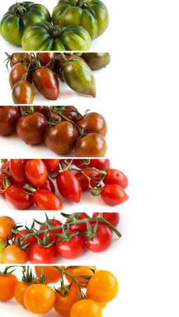 Colorful tomatoes isolated on white collageの写真素材