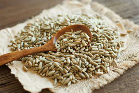 Pile of Dry Raw Rye Grain with a  spoonの写真素材